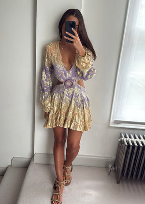 Zuri Embellished Metallic Cutout Dress - Lilac / Peach